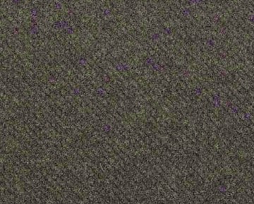 amii-1365.jpg